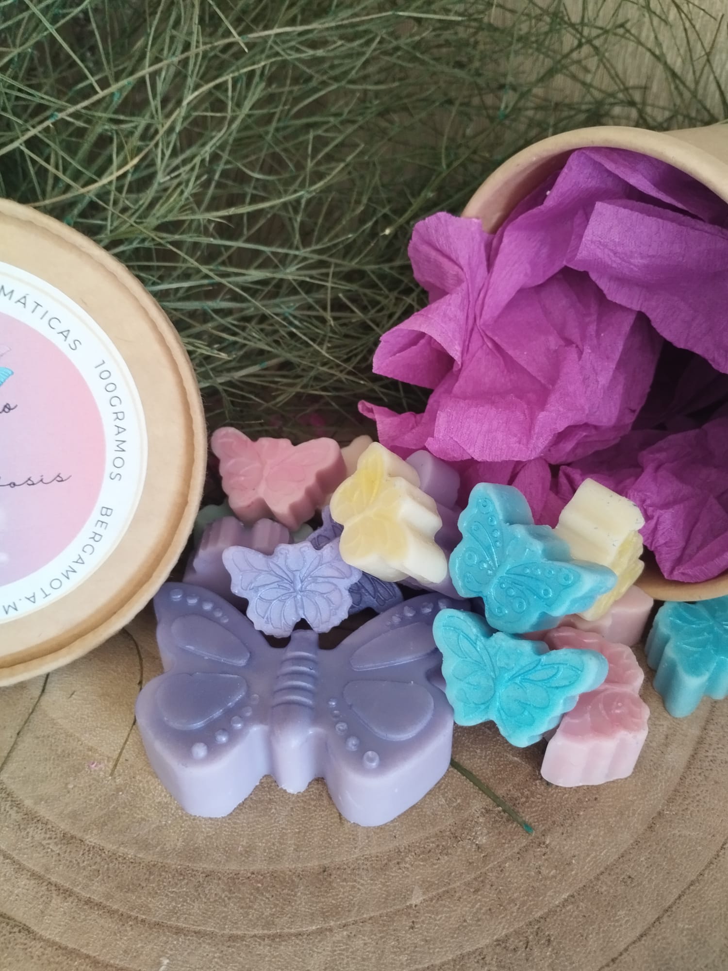 El Kamino de la Metamorfosis