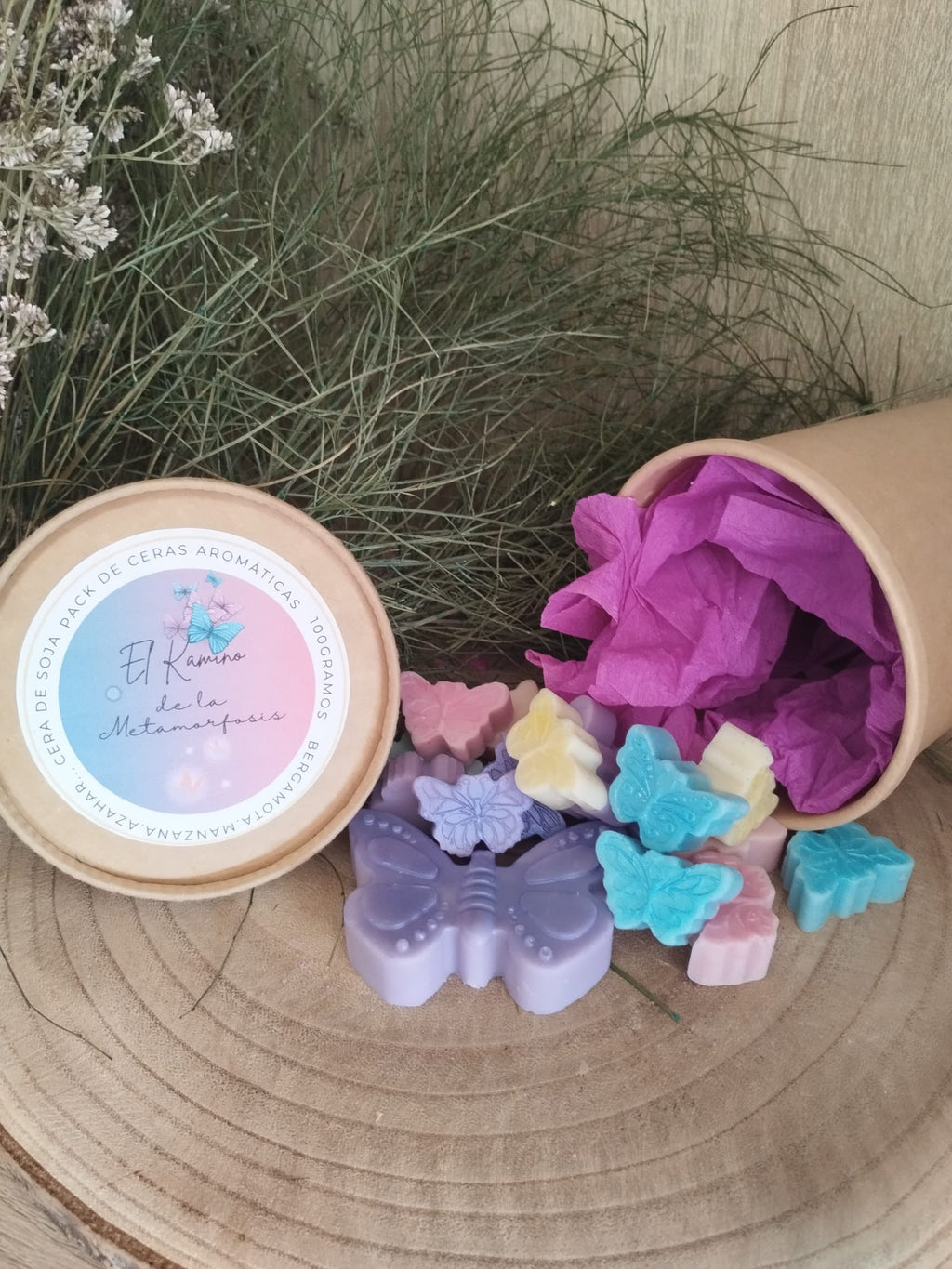 El Kamino de la Metamorfosis